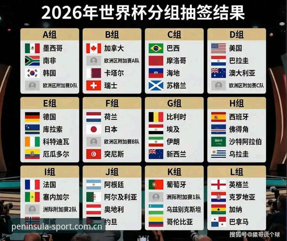 世界杯观赛危机深度分析：签证困局如何影响半岛体育平台用户的赛事体验